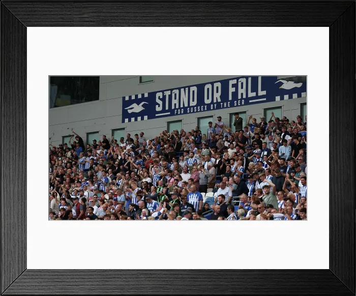 Framed Print : Brighton and Hove Albion v Manchester City Premier League 31AUG25 Framed Print : Brighton and Hove Albion v Manchester City Premier League 31AUG25