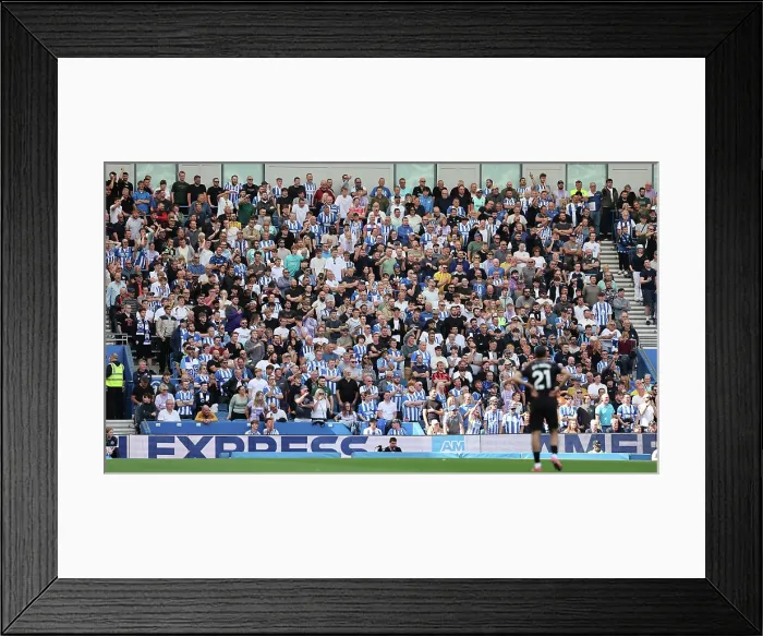 Framed Print : Brighton and Hove Albion v Manchester City Premier League 31AUG25