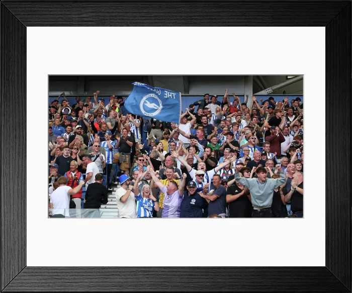 Framed Print : Brighton and Hove Albion v Manchester City Premier League 31AUG25 Framed Print : Brighton and Hove Albion v Manchester City Premier League 31AUG25