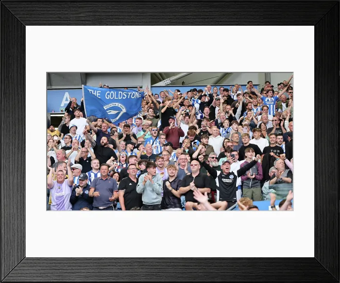 Framed Print : Brighton and Hove Albion v Manchester City Premier League 31AUG25 Framed Print : Brighton and Hove Albion v Manchester City Premier League 31AUG25