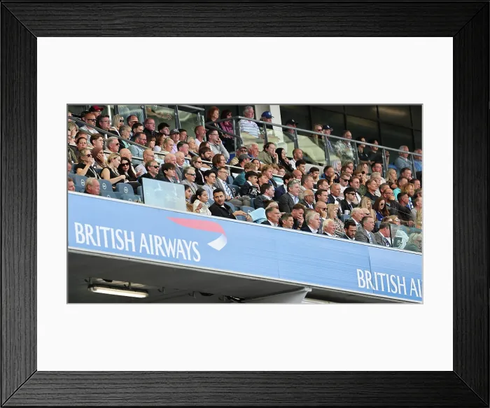 Framed Print : Brighton and Hove Albion v Manchester City Premier League 31AUG25
