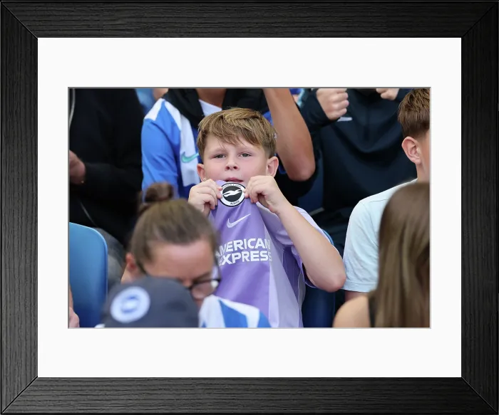 Framed Print : Brighton and Hove Albion v Manchester City Premier League 31AUG25 Framed Print : Brighton and Hove Albion v Manchester City Premier League 31AUG25