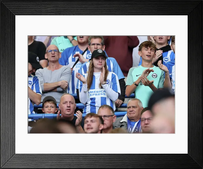 Framed Print : Brighton and Hove Albion v Manchester City Premier League 31AUG25