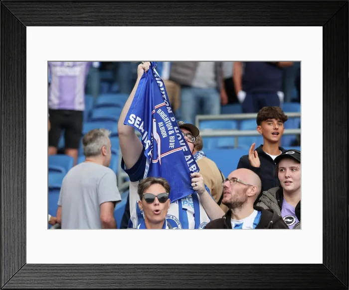 Framed Print : Brighton and Hove Albion v Manchester City Premier League 31AUG25 Framed Print : Brighton and Hove Albion v Manchester City Premier League 31AUG25