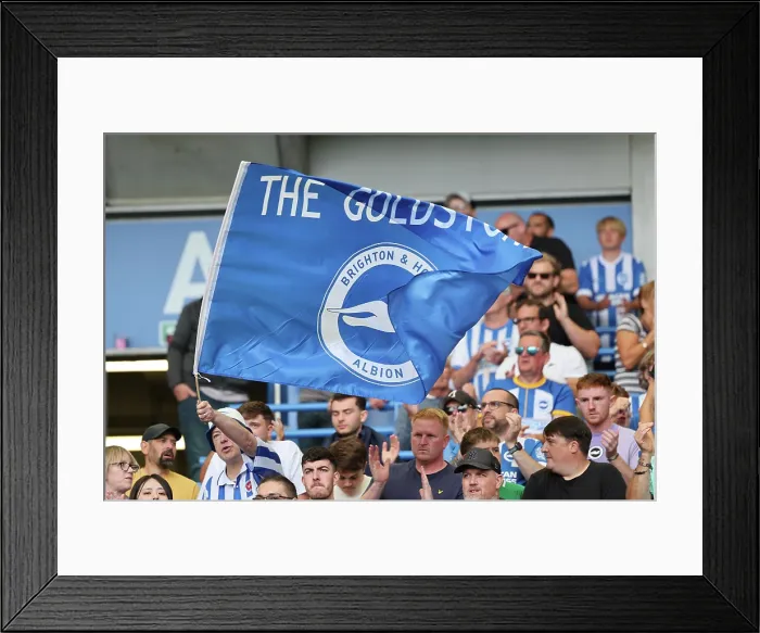 Framed Print : Brighton and Hove Albion v Manchester City Premier League 31AUG25 Framed Print : Brighton and Hove Albion v Manchester City Premier League 31AUG25