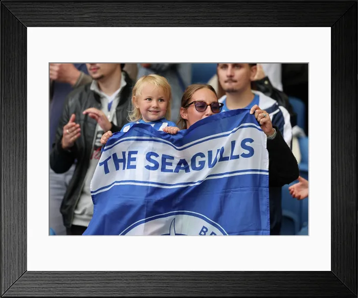 Framed Print : Brighton and Hove Albion v Manchester City Premier League 31AUG25 Framed Print : Brighton and Hove Albion v Manchester City Premier League 31AUG25