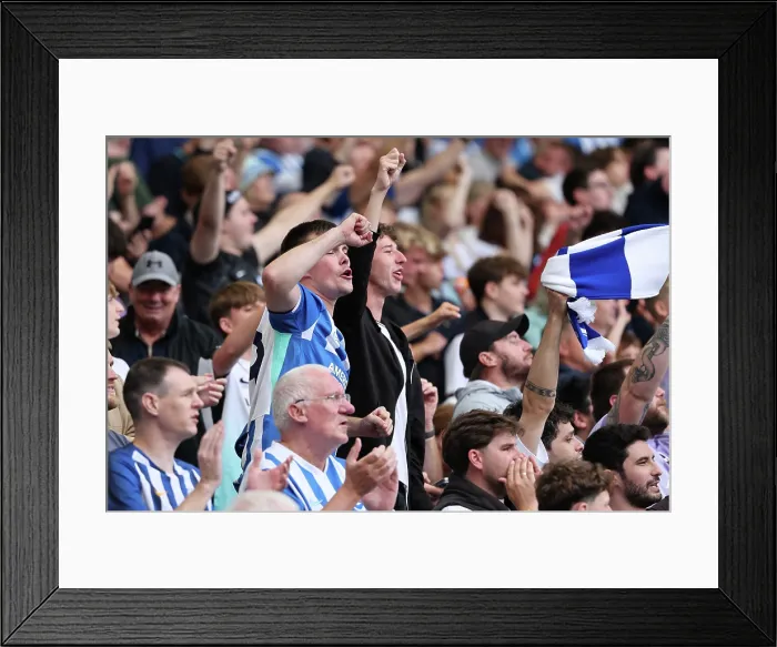 Framed Print : Brighton and Hove Albion v Manchester City Premier League 31AUG25 Framed Print : Brighton and Hove Albion v Manchester City Premier League 31AUG25