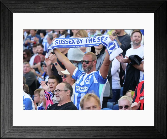 Framed Print : Brighton and Hove Albion v Manchester City Premier League 31AUG25 Framed Print : Brighton and Hove Albion v Manchester City Premier League 31AUG25