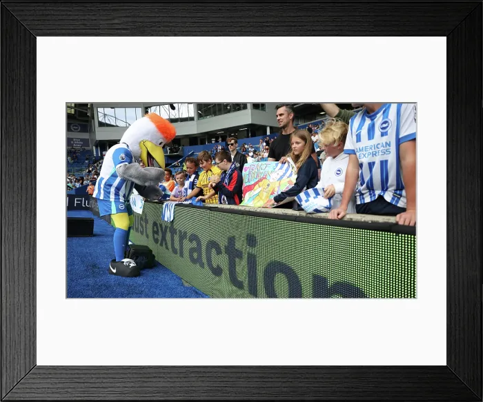 Framed Print : Brighton and Hove Albion v Manchester City Premier League 31AUG25 Framed Print : Brighton and Hove Albion v Manchester City Premier League 31AUG25