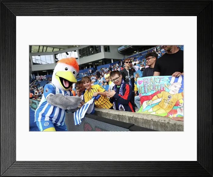 Framed Print : Brighton and Hove Albion v Manchester City Premier League 31AUG25 Framed Print : Brighton and Hove Albion v Manchester City Premier League 31AUG25
