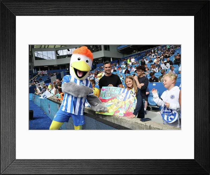 Framed Print : Brighton and Hove Albion v Manchester City Premier League 31AUG25 Framed Print : Brighton and Hove Albion v Manchester City Premier League 31AUG25