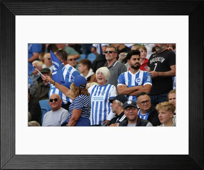 Framed Print : Brighton and Hove Albion v Manchester City Premier League 31AUG25 Framed Print : Brighton and Hove Albion v Manchester City Premier League 31AUG25