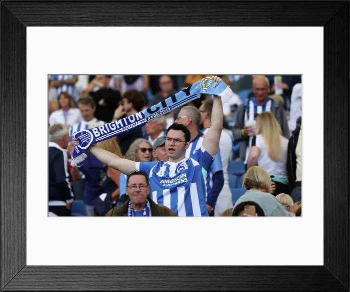 Framed Print : Brighton and Hove Albion v Manchester City Premier League 31AUG25