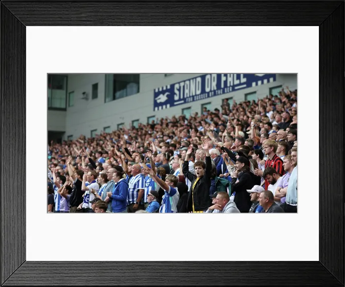 Framed Print : Brighton and Hove Albion v Manchester City Premier League 31AUG25 Framed Print : Brighton and Hove Albion v Manchester City Premier League 31AUG25