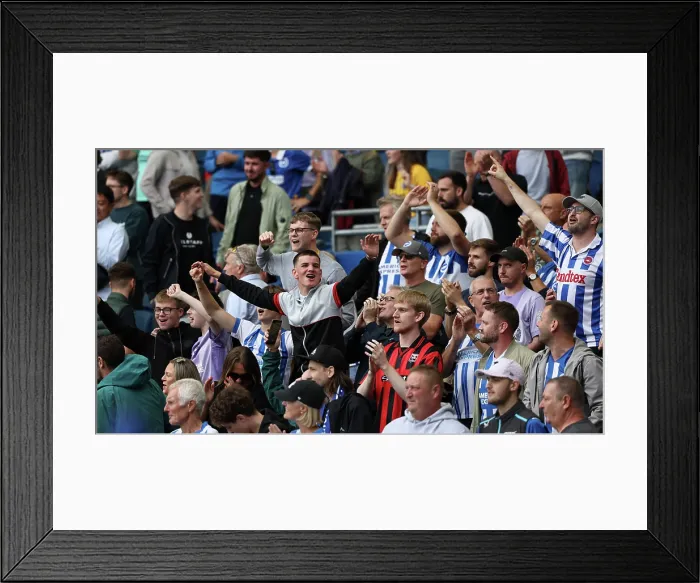 Framed Print : Brighton and Hove Albion v Manchester City Premier League 31AUG25 Framed Print : Brighton and Hove Albion v Manchester City Premier League 31AUG25