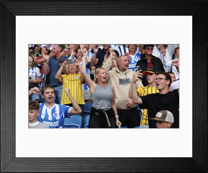 Framed Print : Brighton and Hove Albion v Manchester City Premier League 31AUG25 Framed Print : Brighton and Hove Albion v Manchester City Premier League 31AUG25