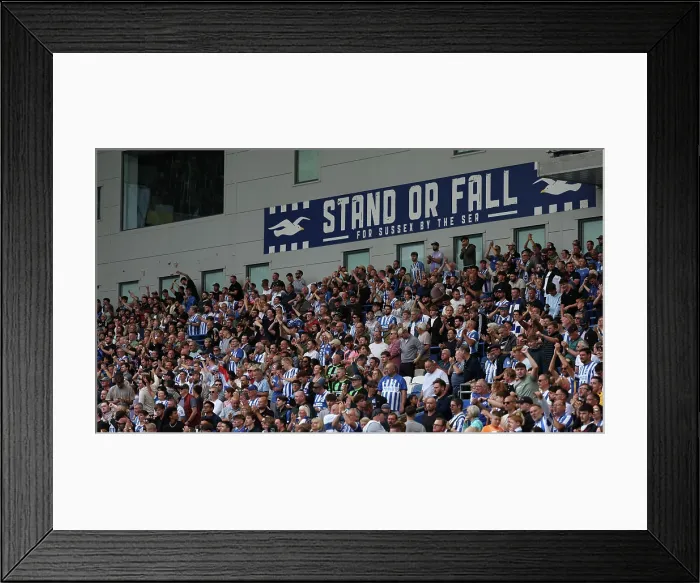 Framed Print : Brighton and Hove Albion v Manchester City Premier League 31AUG25 Framed Print : Brighton and Hove Albion v Manchester City Premier League 31AUG25