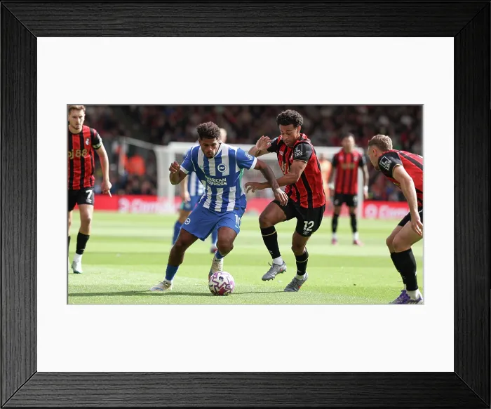 Framed Print : AFC Bournemouth v Brighton and Hove Albion Premier League 13SEP25 Framed Print : AFC Bournemouth v Brighton and Hove Albion Premier League 13SEP25