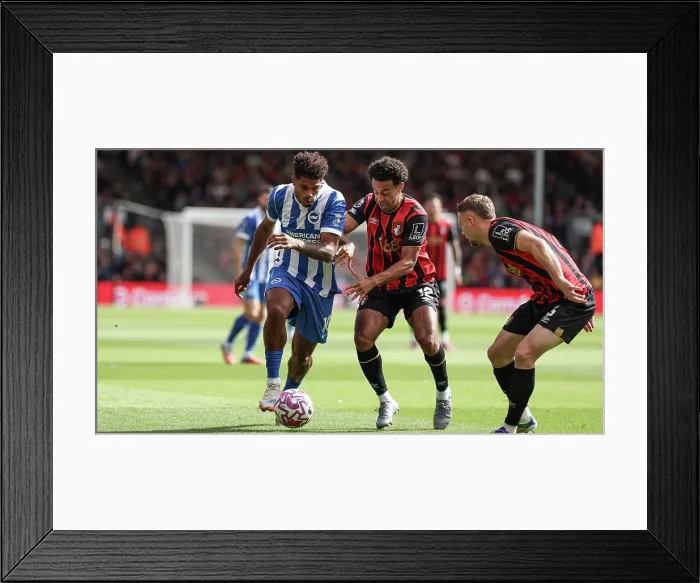 Framed Print : AFC Bournemouth v Brighton and Hove Albion Premier League 13SEP25 Framed Print : AFC Bournemouth v Brighton and Hove Albion Premier League 13SEP25