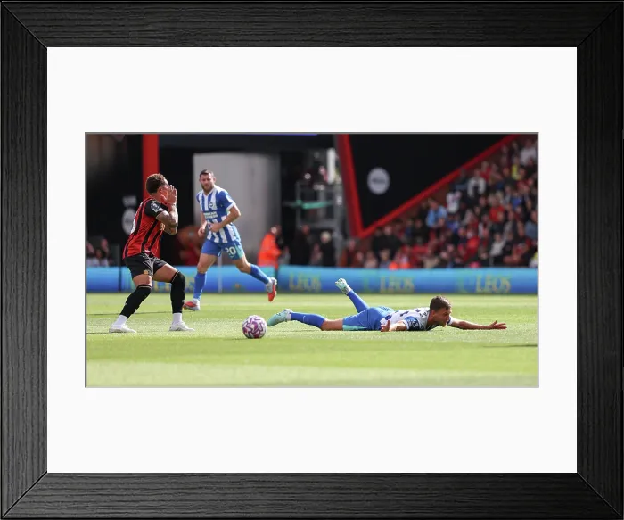 Framed Print : AFC Bournemouth v Brighton and Hove Albion Premier League 13SEP25