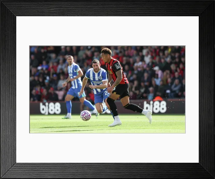 Framed Print : AFC Bournemouth v Brighton and Hove Albion Premier League 13SEP25 Framed Print : AFC Bournemouth v Brighton and Hove Albion Premier League 13SEP25