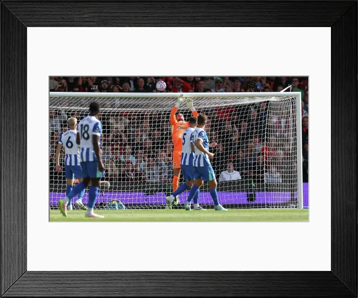 Framed Print : AFC Bournemouth v Brighton and Hove Albion Premier League 13SEP25