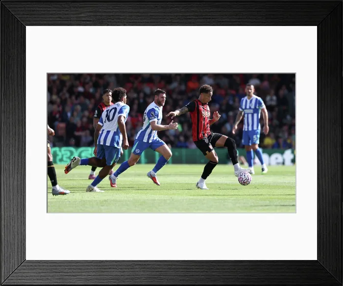 Framed Print : AFC Bournemouth v Brighton and Hove Albion Premier League 13SEP25 Framed Print : AFC Bournemouth v Brighton and Hove Albion Premier League 13SEP25