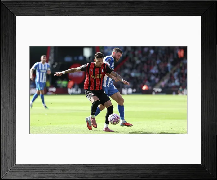 Framed Print : AFC Bournemouth v Brighton and Hove Albion Premier League 13SEP25 Framed Print : AFC Bournemouth v Brighton and Hove Albion Premier League 13SEP25
