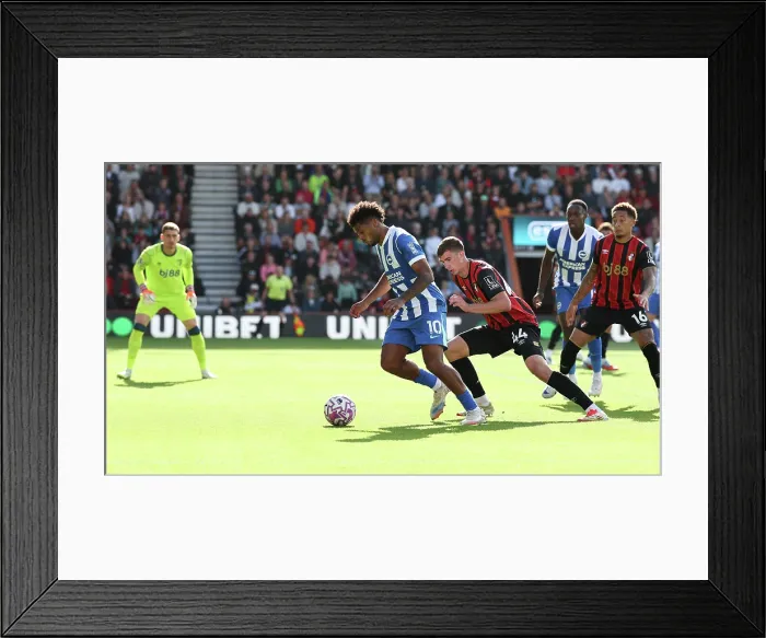 Framed Print : AFC Bournemouth v Brighton and Hove Albion Premier League 13SEP25 Framed Print : AFC Bournemouth v Brighton and Hove Albion Premier League 13SEP25