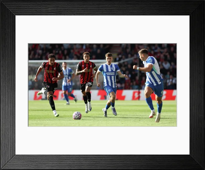 Framed Print : AFC Bournemouth v Brighton and Hove Albion Premier League 13SEP25 Framed Print : AFC Bournemouth v Brighton and Hove Albion Premier League 13SEP25
