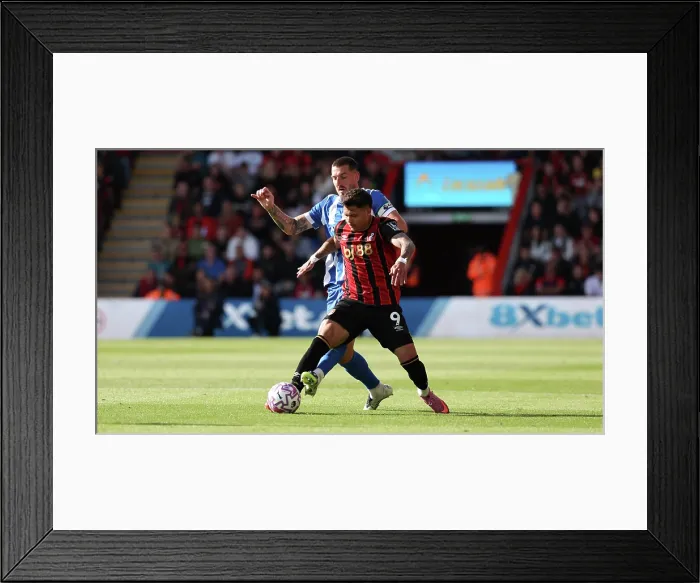Framed Print : AFC Bournemouth v Brighton and Hove Albion Premier League 13SEP25 Framed Print : AFC Bournemouth v Brighton and Hove Albion Premier League 13SEP25
