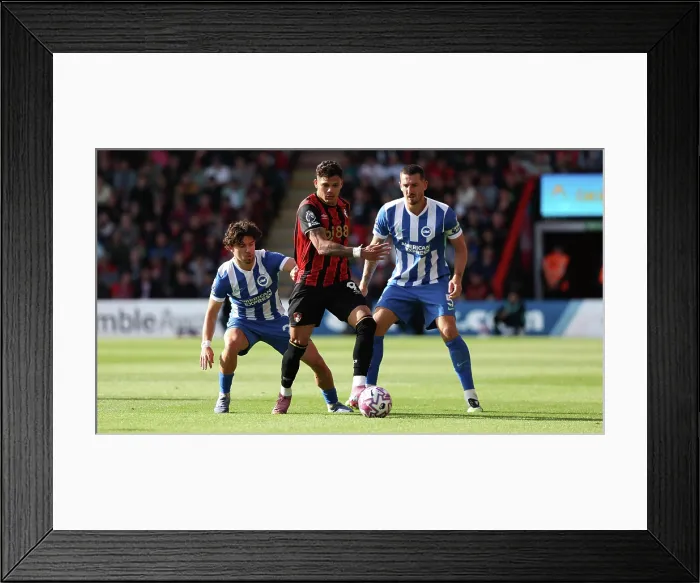Framed Print : AFC Bournemouth v Brighton and Hove Albion Premier League 13SEP25 Framed Print : AFC Bournemouth v Brighton and Hove Albion Premier League 13SEP25