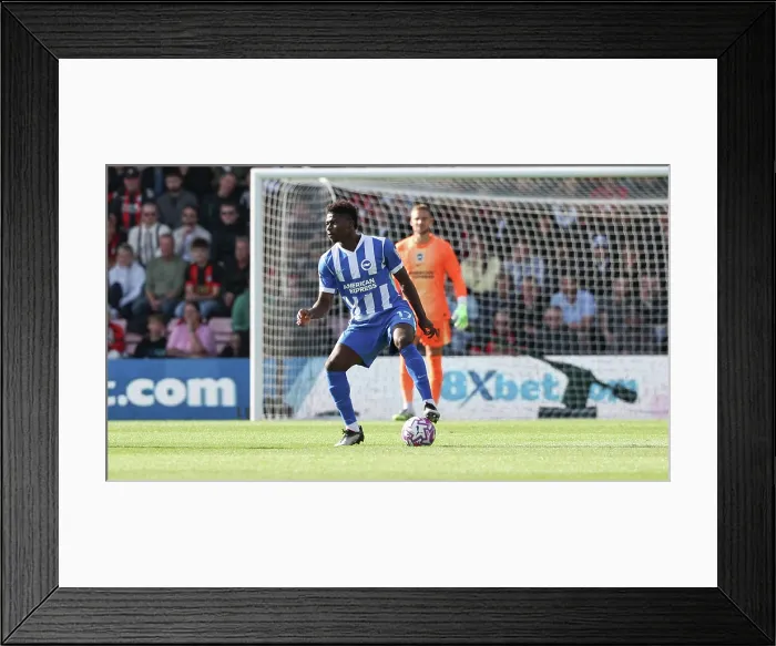 Framed Print : AFC Bournemouth v Brighton and Hove Albion Premier League 13SEP25