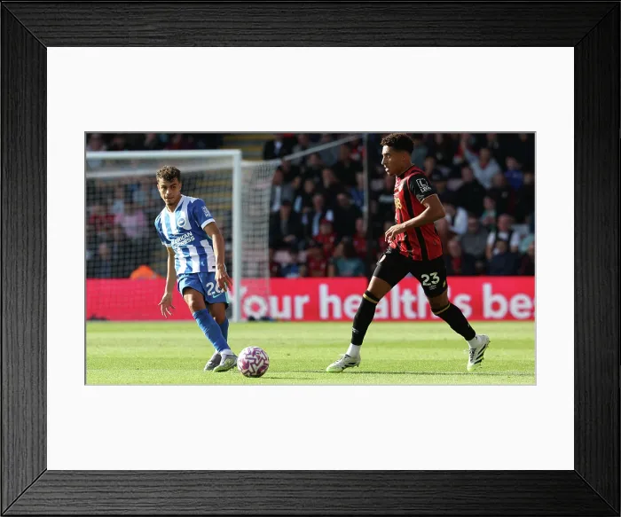 Framed Print : AFC Bournemouth v Brighton and Hove Albion Premier League 13SEP25 Framed Print : AFC Bournemouth v Brighton and Hove Albion Premier League 13SEP25