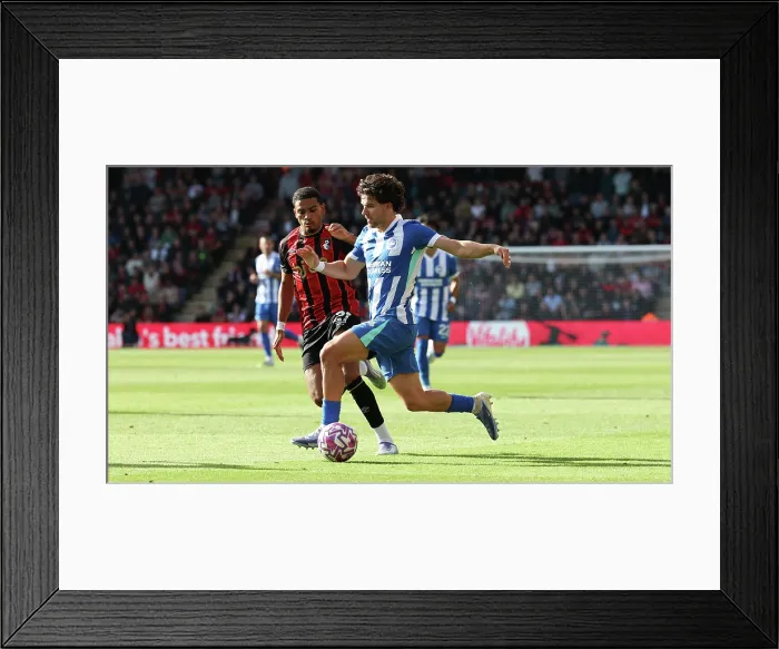 Framed Print : AFC Bournemouth v Brighton and Hove Albion Premier League 13SEP25 Framed Print : AFC Bournemouth v Brighton and Hove Albion Premier League 13SEP25