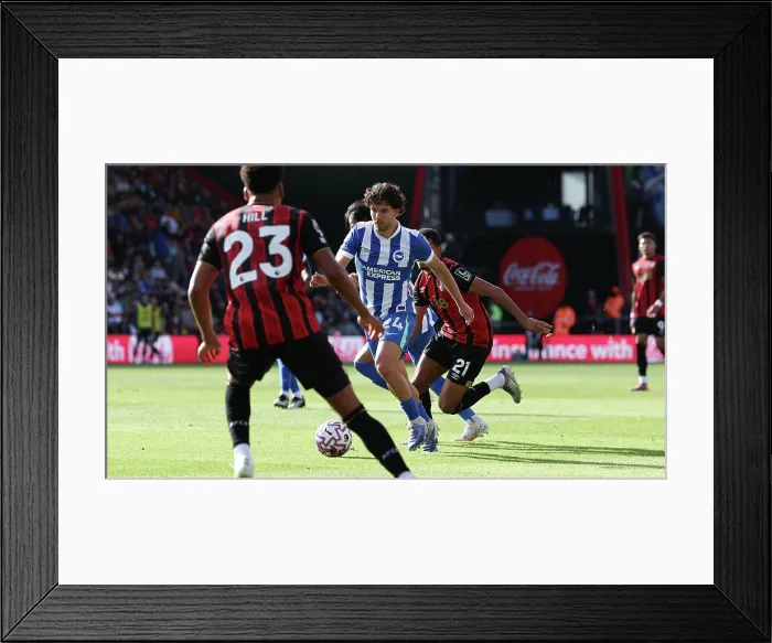 Framed Print : AFC Bournemouth v Brighton and Hove Albion Premier League 13SEP25 Framed Print : AFC Bournemouth v Brighton and Hove Albion Premier League 13SEP25