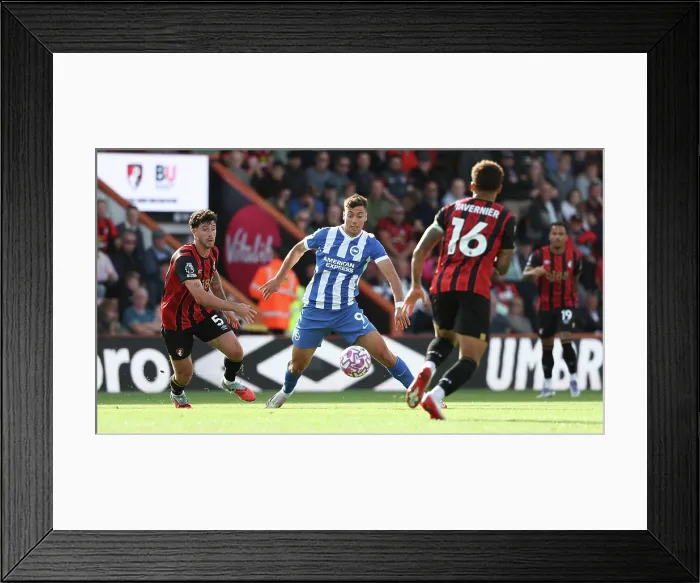 Framed Print : AFC Bournemouth v Brighton and Hove Albion Premier League 13SEP25 Framed Print : AFC Bournemouth v Brighton and Hove Albion Premier League 13SEP25