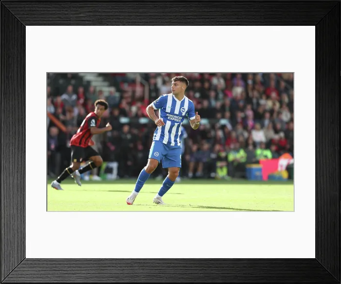 Framed Print : AFC Bournemouth v Brighton and Hove Albion Premier League 13SEP25 Framed Print : AFC Bournemouth v Brighton and Hove Albion Premier League 13SEP25
