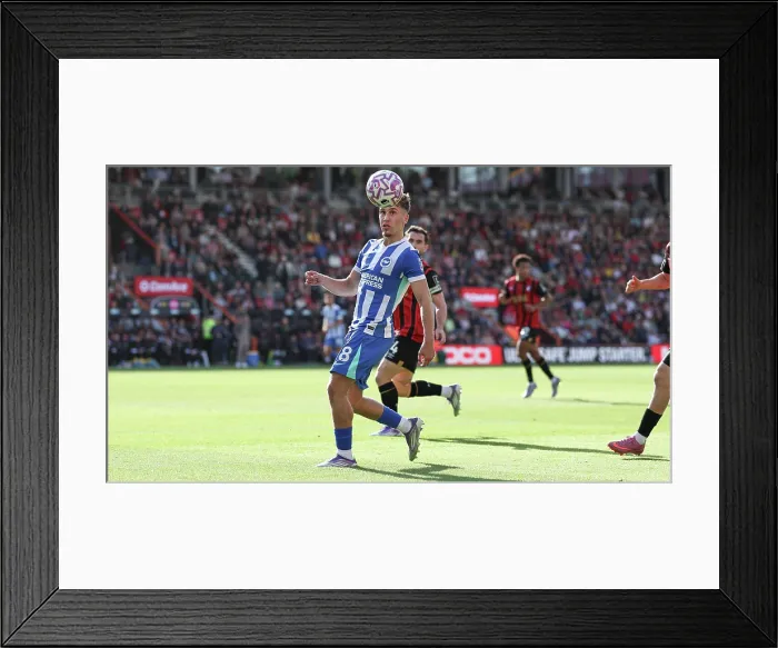 Framed Print : AFC Bournemouth v Brighton and Hove Albion Premier League 13SEP25 Framed Print : AFC Bournemouth v Brighton and Hove Albion Premier League 13SEP25