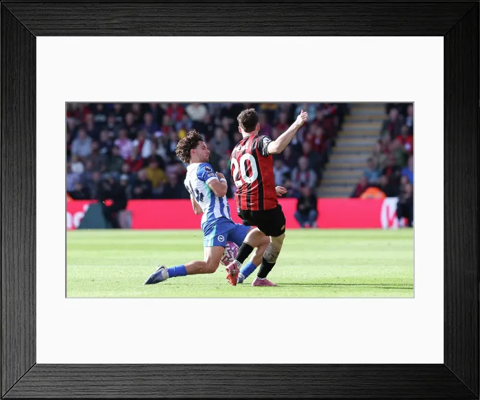 Framed Print : AFC Bournemouth v Brighton and Hove Albion Premier League 13SEP25 Framed Print : AFC Bournemouth v Brighton and Hove Albion Premier League 13SEP25