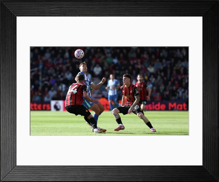 Framed Print : AFC Bournemouth v Brighton and Hove Albion Premier League 13SEP25 Framed Print : AFC Bournemouth v Brighton and Hove Albion Premier League 13SEP25