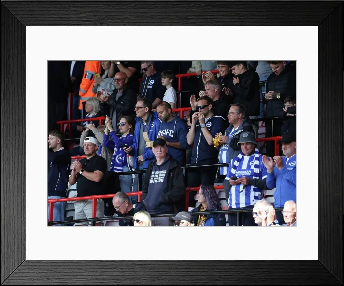 Framed Print : AFC Bournemouth v Brighton and Hove Albion Premier League 13SEP25