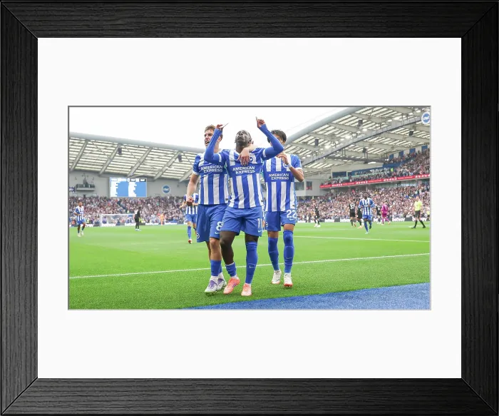Framed Print : Brighton and Hove Albion v Tottenham Hotspur Premier League 20SEP25