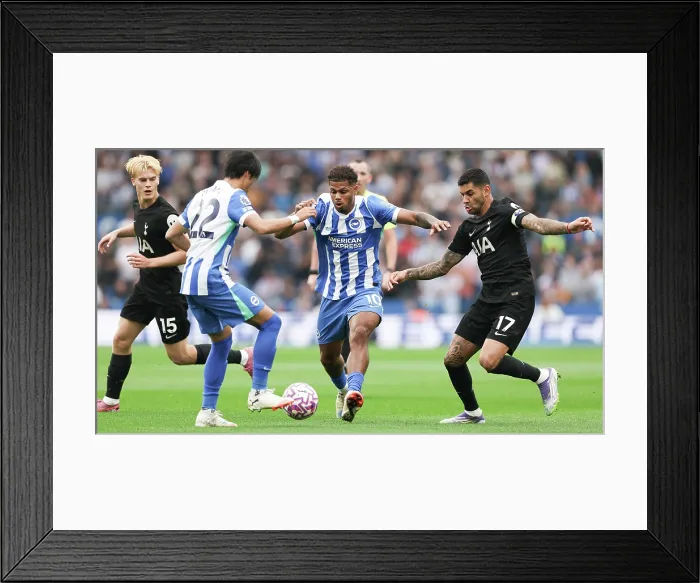 Framed Print : Brighton and Hove Albion v Tottenham Hotspur Premier League 20SEP25 Framed Print : Brighton and Hove Albion v Tottenham Hotspur Premier League 20SEP25