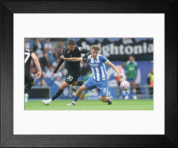 Framed Print : Brighton and Hove Albion v Tottenham Hotspur Premier League 20SEP25