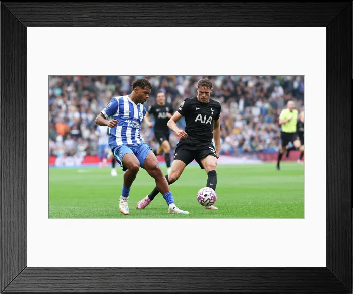 Framed Print : Brighton and Hove Albion v Tottenham Hotspur Premier League 20SEP25 Framed Print : Brighton and Hove Albion v Tottenham Hotspur Premier League 20SEP25
