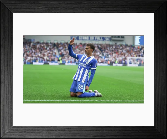 Framed Print : Brighton and Hove Albion v Tottenham Hotspur Premier League 20SEP25 Framed Print : Brighton and Hove Albion v Tottenham Hotspur Premier League 20SEP25
