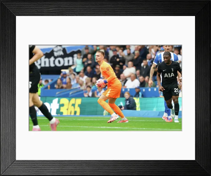 Framed Print : Brighton and Hove Albion v Tottenham Hotspur Premier League 20SEP25