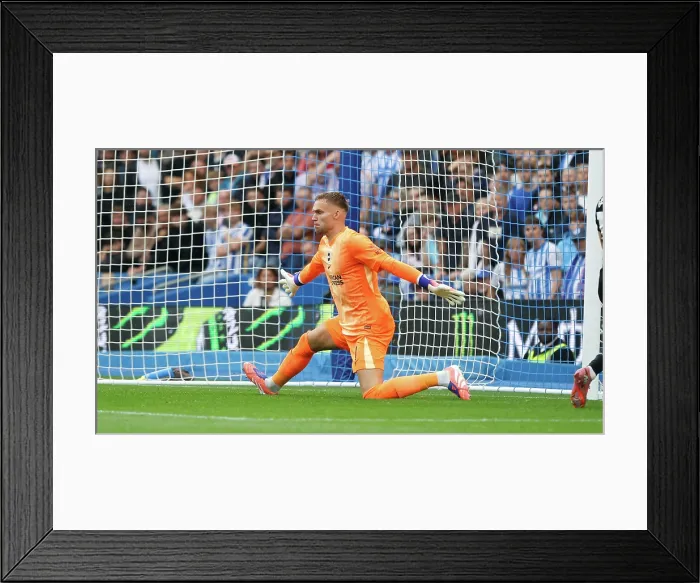 Framed Print : Brighton and Hove Albion v Tottenham Hotspur Premier League 20SEP25