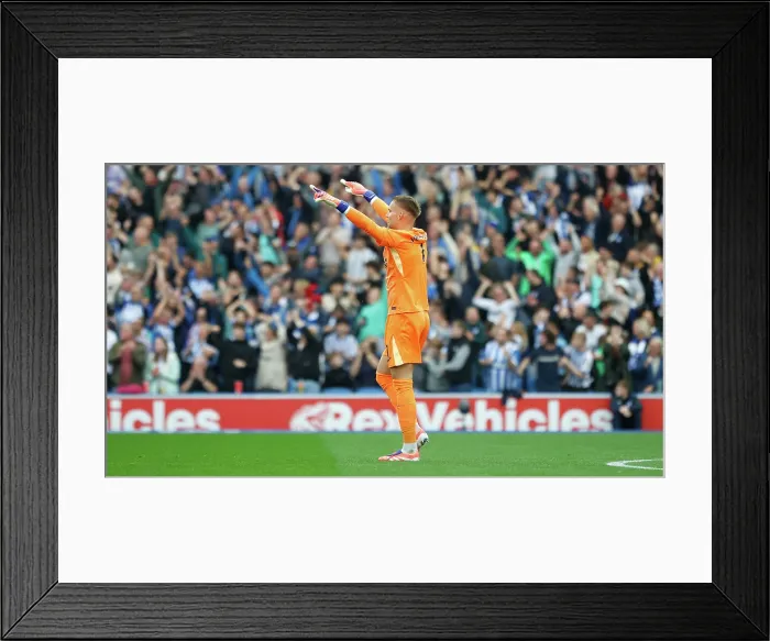 Framed Print : Brighton and Hove Albion v Tottenham Hotspur Premier League 20SEP25